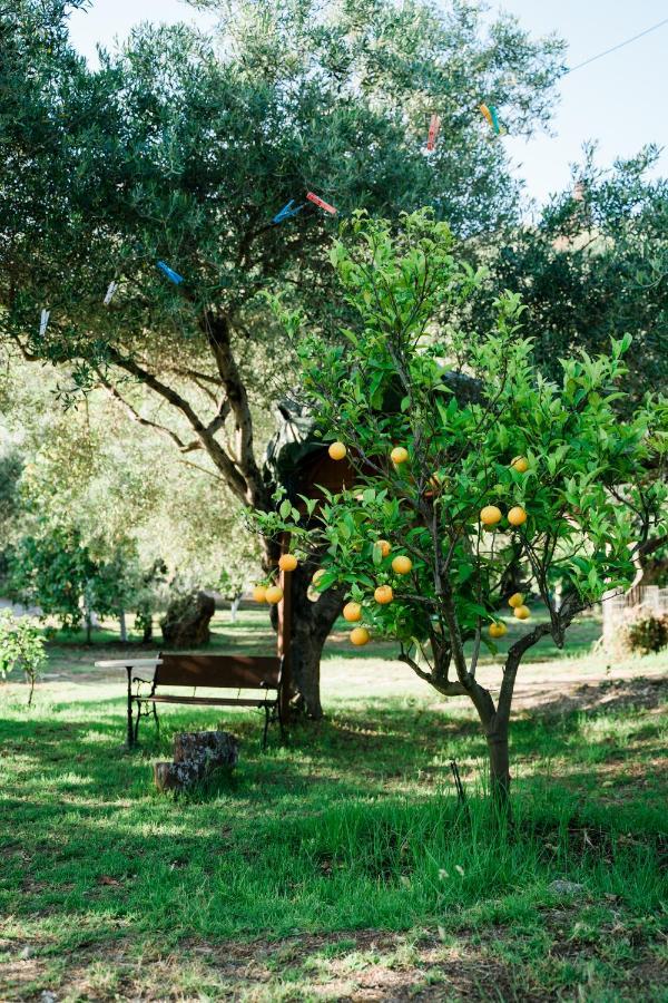 Villa Kallithea Parga Esterno foto