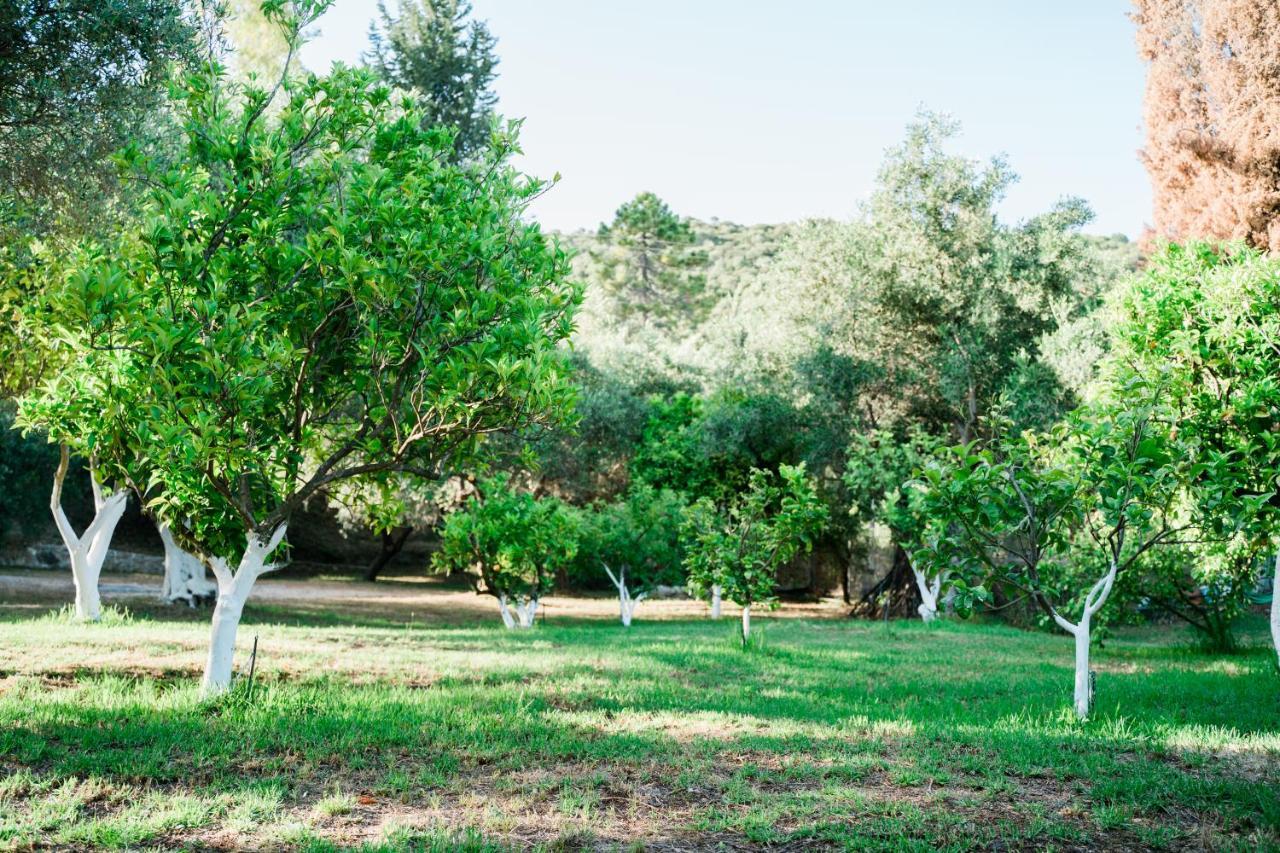 Villa Kallithea Parga Esterno foto