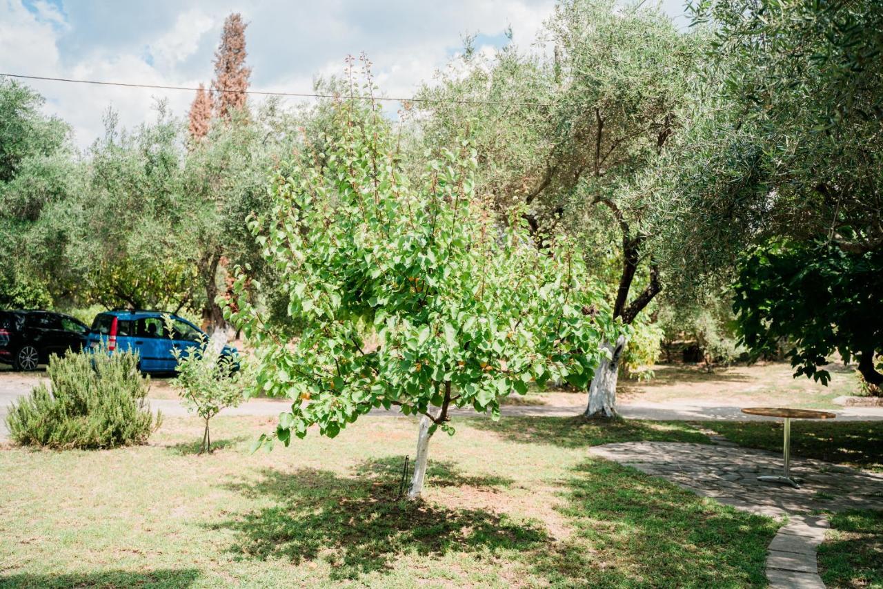 Villa Kallithea Parga Esterno foto